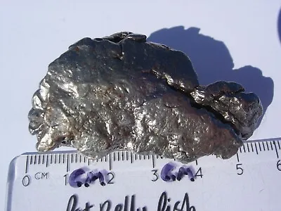 62.8 Grams NEW CAMPO DEL CIELO METEORITE Polished + Certificate Of Authenticity • $50.99