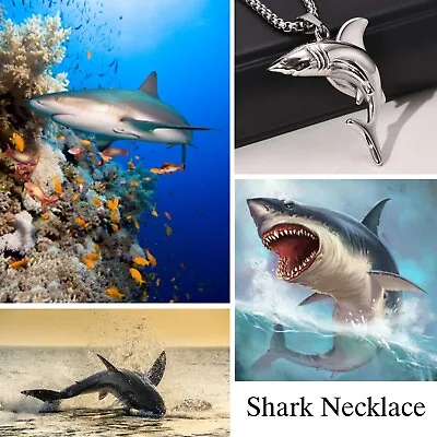 Shark Necklaces For Men Boys Girls Shark Fish Pendant Stainless Steel Chain Set • $13.95