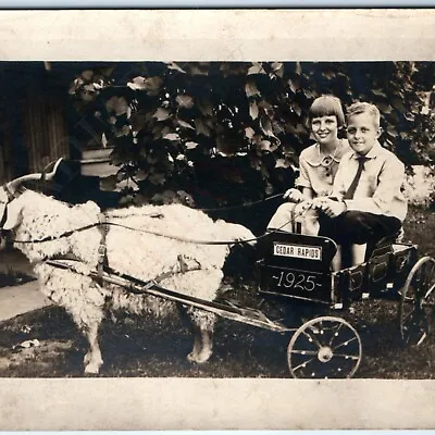 1925 Cedar Rapids Iowa Kids In Cute Goat Cart Real Photo Wagon Parade IA B22 • $11.75