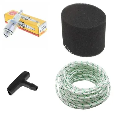 QUALCAST SUFFOLK PUNCH 35s 43s SERVICE KIT TECUMSEH ENGINE FILTER NGK PLUG CORD • £14.99