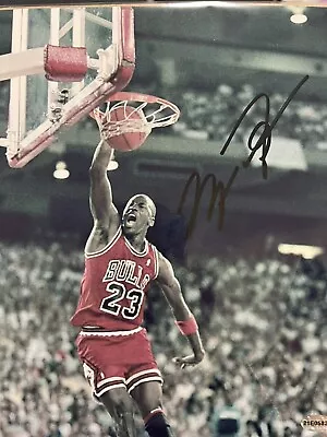 $199 • Buy Michael Jordan Bulls Signed Autographed 8X10 Photo COA