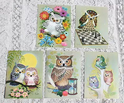 Five Org Vintage 1973 K Chin Owl Prints Donald Art • $29.99