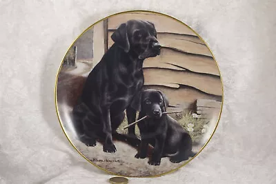 £5 • Buy Franklin Mint Like Father Like Son Nigel Hemming Plate Labrador Retriever Dog 