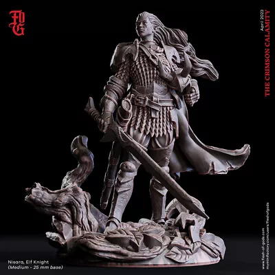 Female Elf Knight Fighter Resin Miniature 28mm 32mm Dungeon Dragons D&D RPG • $11.99