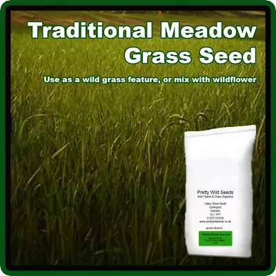 Traditional Meadow Grass Seed Mix Make A Wild Feature Or Add To Wild Flower Seed • £4.99