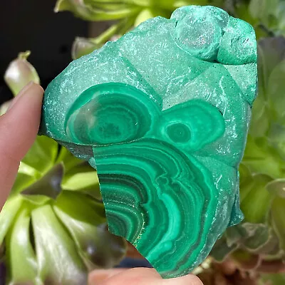 140G Natural Green Malachite Slab Quartz Crystal Slice Ore Specimen Healing • $0.99