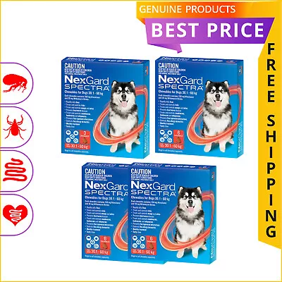 NEXGARD SPECTRA 3612 Doses Heartworm Flea Treatment For Dogs 30 To 60 Kg RED • $79.45