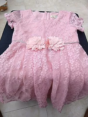 Yumi Girl Dress Age 3-4 Worn Once Pink Lace Short Sleeves Knee Length  • £5