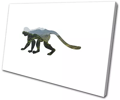 Monkey Chimp Mountain Animals SINGLE CANVAS WALL ART Picture Print • $74.99