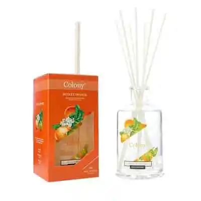 Wax Lyrical Colony Reed Diffuser - Sevilla Orange 200ml 🌹 🌻 🌷 🌼 • £12.99