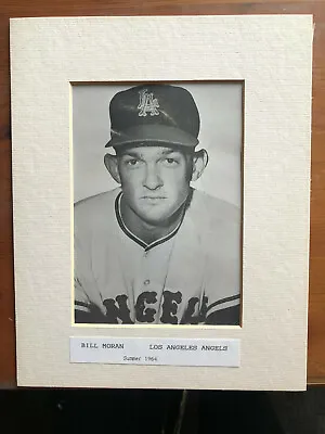 Press Photo Los Angeles Angels Infielder Bill Moran- 1964**FREE SHIP** With MATT • $3.99