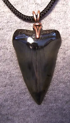 Mako Shark Tooth Fossil Teeth Necklace  1 7/8  Wireless Polished Megalodon Jaw • $34