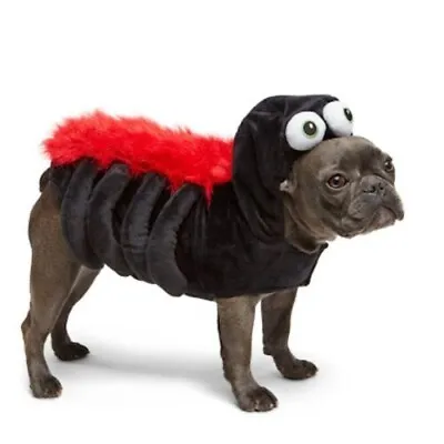 Martha Stewart Pets Spider DOG COSTUME Sz SMALL Black Velvet Red Legs Eyes • $11.98