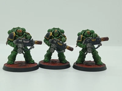 Painted Salamanders Primaris Eradicators • $408.90