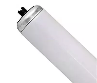 22  F24T12/CW/HO 35W High Output Fluorescent Light Bulb Cool White 4100K 21224 • $17.95