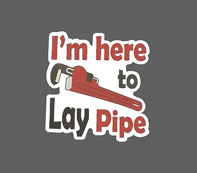 Lay Pipe Sticker I'm Here Waterproof NEW - Buy Any 4 For $1.75 EACH Storewide! • $2.95