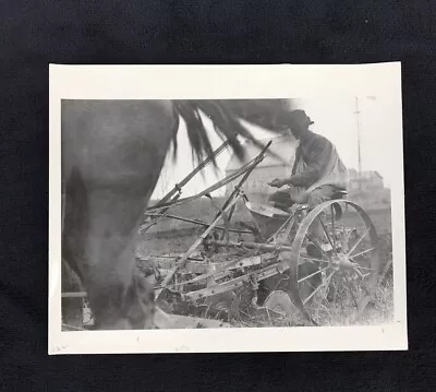  Horse Drawn Farming Cultivator With Man Planting Seed In Field Vintage Photo  • $30