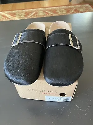 Coconuts By Matisse Size 8M Black Cow Hair Leather Clogs W/Accent Buckle NIB • $39.95