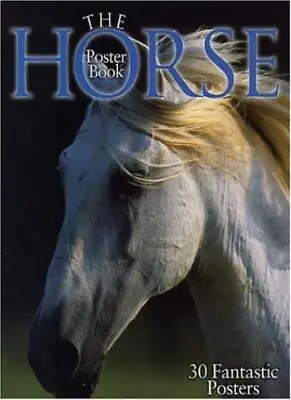 The Horse Poster Book By Wendy Allatson • £2.51