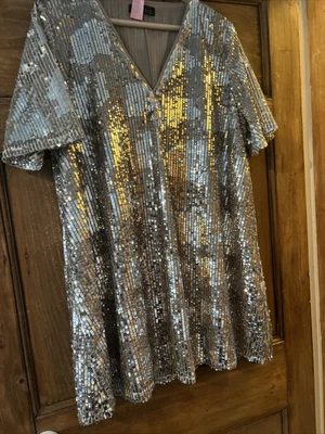 £7.50 • Buy Zara L Silver Sequin Dress