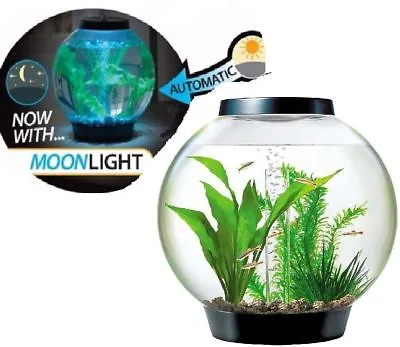 Oase Black Baby Biorb Moonlight Led Fish Aquarium Tank • £99.99