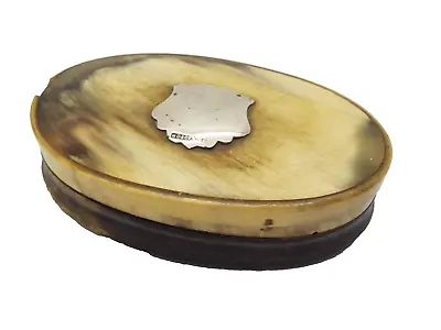 Antique Polished Horn Oval Snuff Box Silver Shield Cartouche • £38.99