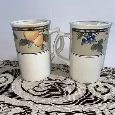 Mikasa Intaglio Garden Harvest Cappuccino Cups 4.75in Set Of 2 • $19.95