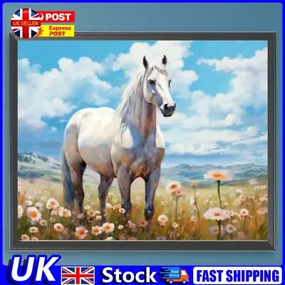 Paint By Numbers Kit On Canvas DIY Oil Art Horse Picture Home Wall Decor 50x40cm • £8.99