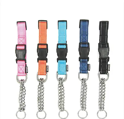 Luxury Martingale Dog Collar With Chain Loop Basic Nylon 2 Sizes 5 Colours ZOOLA • $20.90
