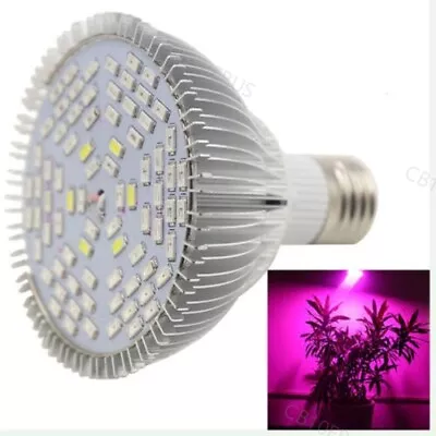 25W E27 Full Spectrum LED Grow Light Plant Growing Lamp Bulb Growlight B10 • $15.92