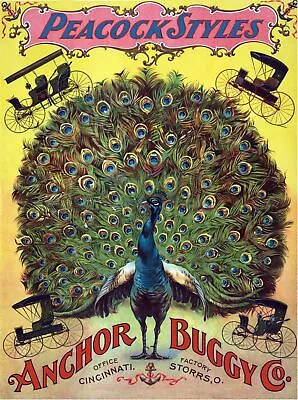 7982.Decoration Poster.Home Room Wall Art Interior Design.Peacock Style Buggy • $29