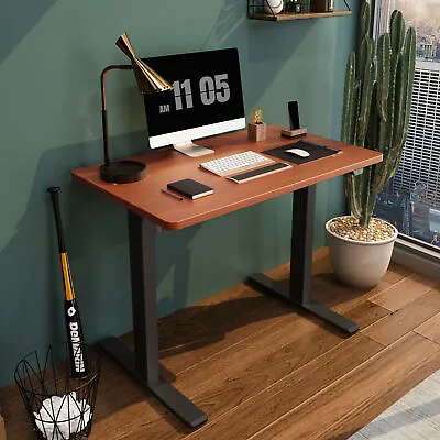 FlexiSpot 40 48 55 Ergonomic Home Office Desk Standing Desk Computer Desk • $199.99