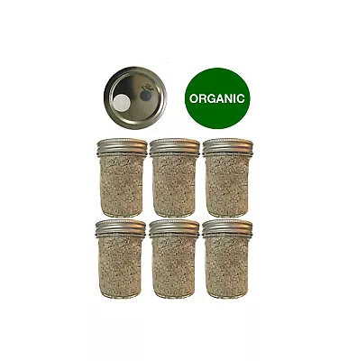 6 BRF Cake Jars PF Tek Grow Kit Organic 1 Port 1 Filter • $49.99