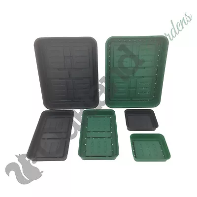 Solid Rigid Seed Gravel Tray 22cm 38cm 52cm With Or No Holes Strong Small Large • £225.95