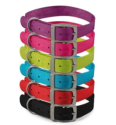 Ancol Viva Nylon Puppy Dog Pet Strong Collars In 6 Colours And 5 Sizes • £4.25