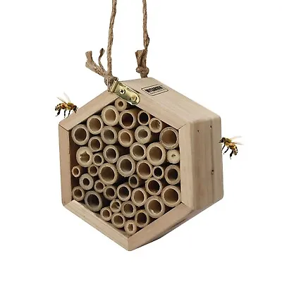 Insect Bee House Hotel Natural Wood Hotel Shelter Garden Bug Log Nesting Box • £7.99