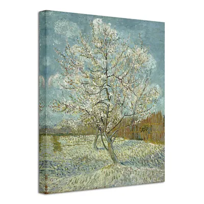 Canvas Print Picture Van Gogh Painting Repro Home Decor Wall Art Tree Framed • $2.99