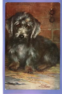 £1.99 • Buy Old Vintage Tuck Postcard Dandie Dinmont Terrier Artist Signed Maud West Watson