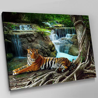 A412 Waterfall Bengal Tiger Resting Canvas Wall Art Animal Picture Large Print • £8.99