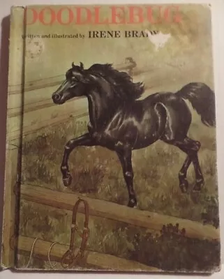 Hackney Stallion Show Pony Book Doodlebug Irene Brady 1977 Cart Horse Book HC • $7.99