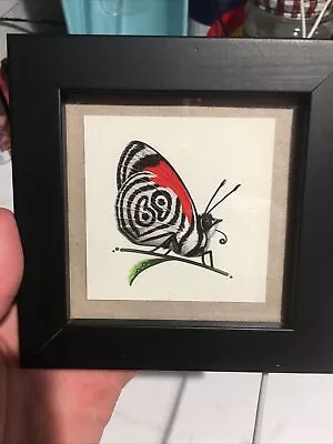MIKE MITCHELL - ANNA's EIGHTY EIGHT BUTTERFLY 88 - VARIANT - 69 - 3x3 Xxx/250 • $70