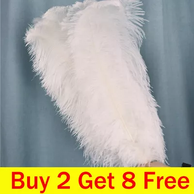 Large Ostrich Feathers Christmas Party Ornament Costume Craft Long Plume 25-30cm • £3.07