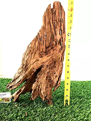 Malaysian Driftwood For Aquarium Fish Tank Reptile Natural Pet Safe -L 18x8x5 • $34.99