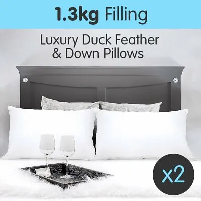 2x Duck Down Feather Pillows Luxury Cotton Cover 75 X 50cm Australian Size Bed • $59
