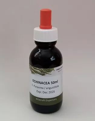 ECHINACEA LIQUID EXTRACT TINCTURE 50ml Herbal Concentrate Purpurea Augustifolia • $24