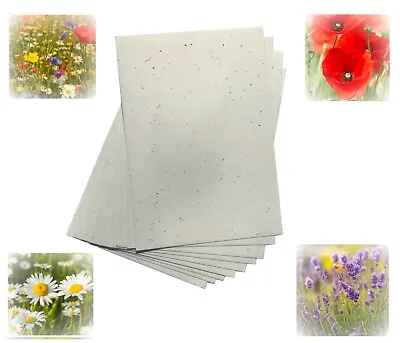 £4 • Buy Seeded Craft Paper A4 A5 A6 Sheets Size Choose Size And Seeds 200GSM Plantable