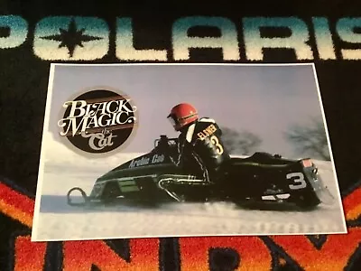 🏁 ‘80 ARCTIC CAT #3 Sno-Pro Snowmobile Poster  Vintage Race Sled Snopro The Cat • $21.88