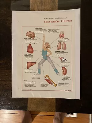 Vintage Medical Patient Education Chart/leaflet.  Rare. • $89.99