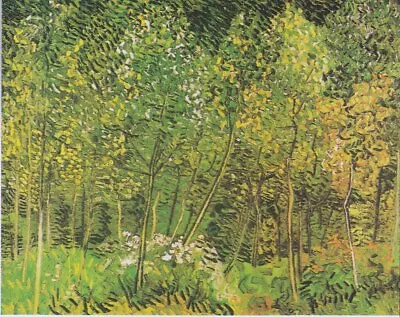 Vincent Van Gogh The Grove Nature Painting Poster Art Print - PICK SIZE • $23.99