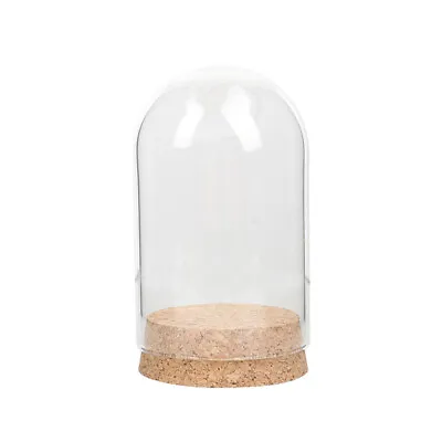 £5.99 • Buy Miniature Glass Dome Display Bell Jar Cloche On Metal Or Wooden Base Doll Storag